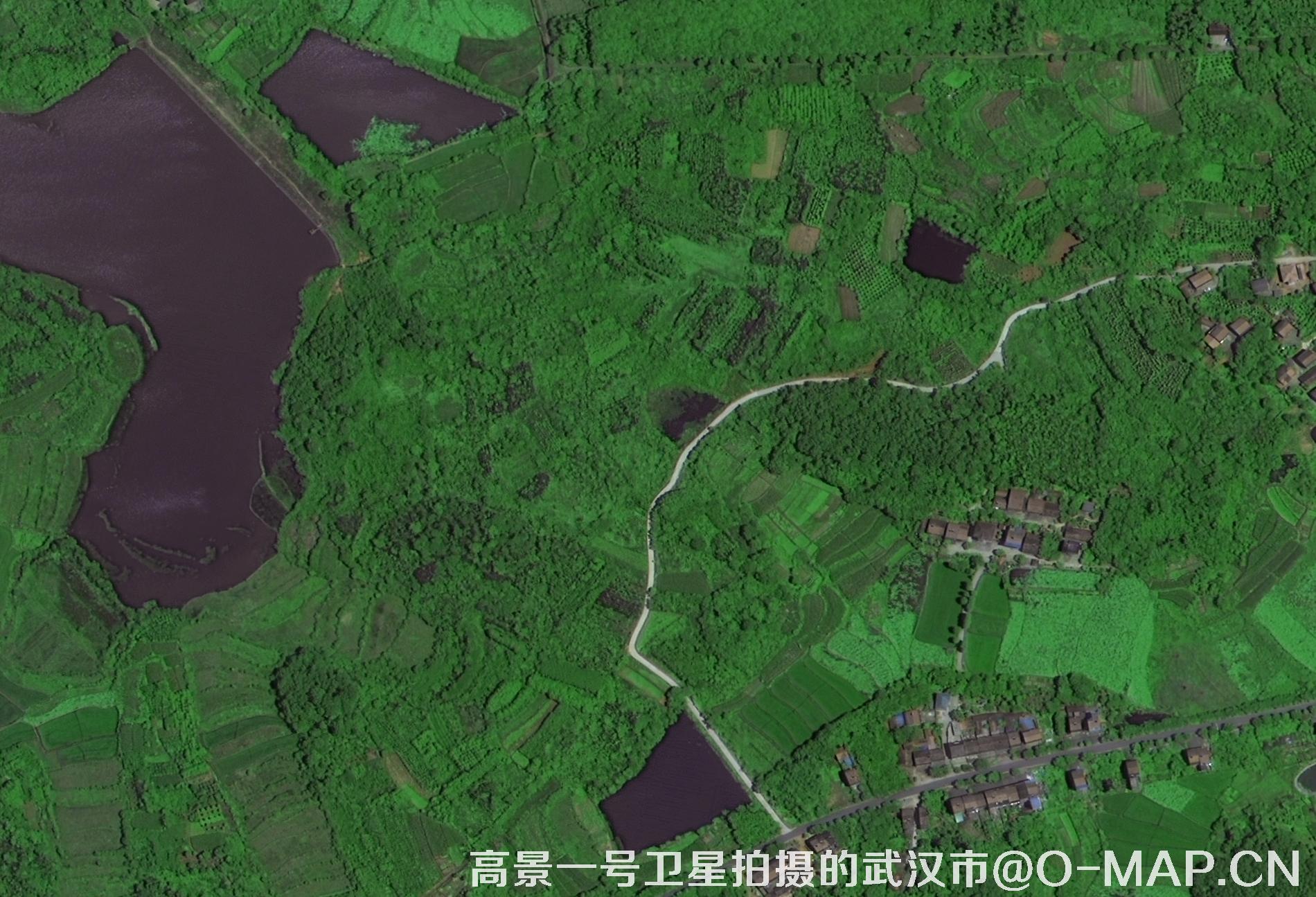 遙感衛(wèi)星數(shù)據(jù)+數(shù)字AI技術(shù)+傳統(tǒng)山水畫！“空天視角下的關(guān)山月寫生之路”展覽開(kāi)幕