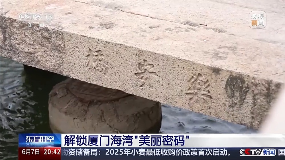 保護(hù)潮起潮落間的美麗！看這是建設(shè)海灣的“硬核”實(shí)力(圖10)