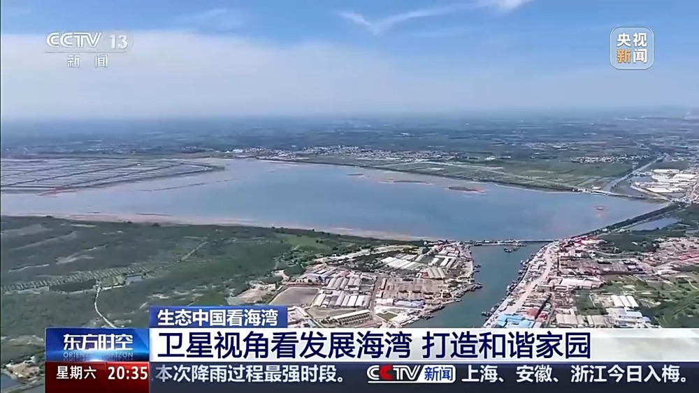 保護(hù)潮起潮落間的美麗！看這是建設(shè)海灣的“硬核”實(shí)力