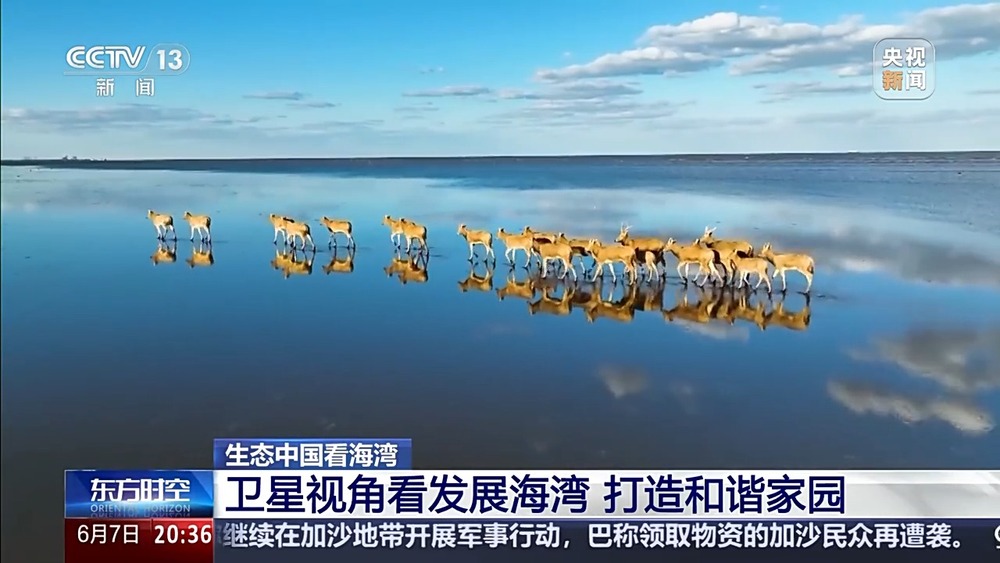 保護(hù)潮起潮落間的美麗！看這是建設(shè)海灣的“硬核”實(shí)力(圖3)