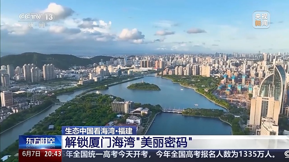 保護(hù)潮起潮落間的美麗！看這是建設(shè)海灣的“硬核”實(shí)力(圖11)