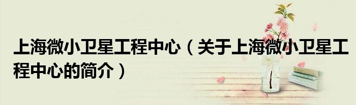 上海微小衛(wèi)星工程中心（關(guān)于上海微小衛(wèi)星工程中心的簡(jiǎn)介）(圖1)