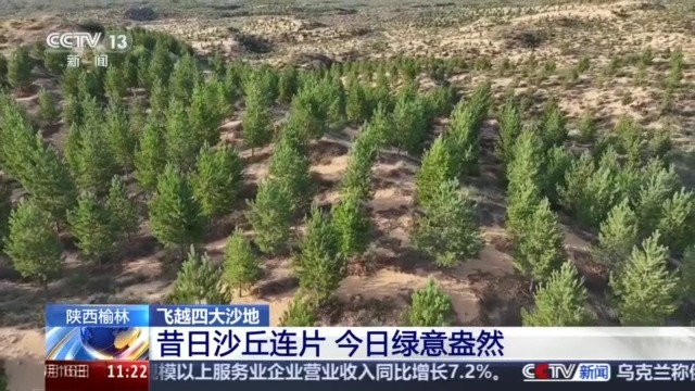 今昔對比瞰變遷 衛(wèi)星視角帶你飛越四大沙地(圖3)