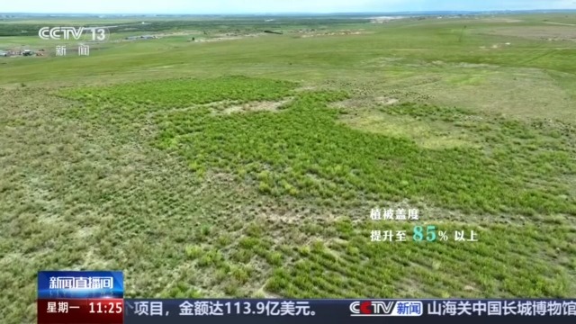 今昔對比瞰變遷 衛(wèi)星視角帶你飛越四大沙地(圖10)