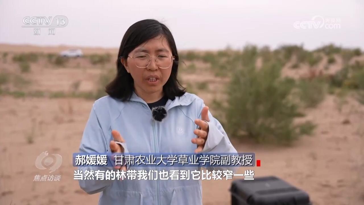 焦點訪談｜久久為功 祖國北疆筑起抵御風沙“綠色長城”(圖3)