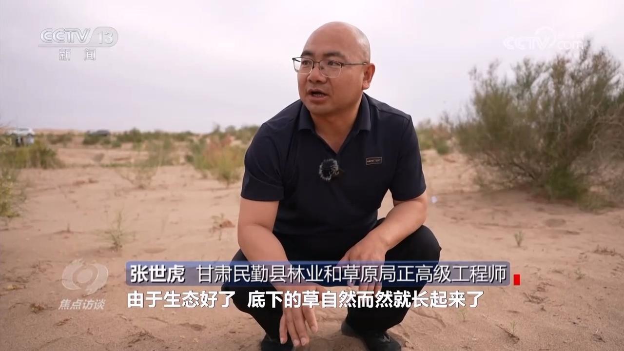 焦點訪談｜久久為功 祖國北疆筑起抵御風沙“綠色長城”(圖5)