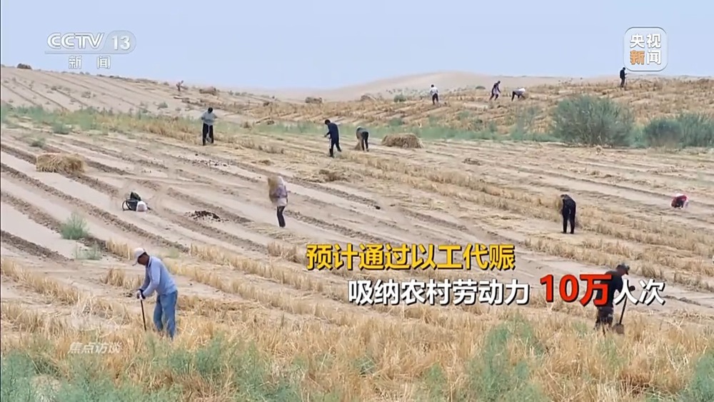 焦點訪談丨讓黃沙變“金沙”“中國方案” 創(chuàng)造更多綠色奇跡(圖15)