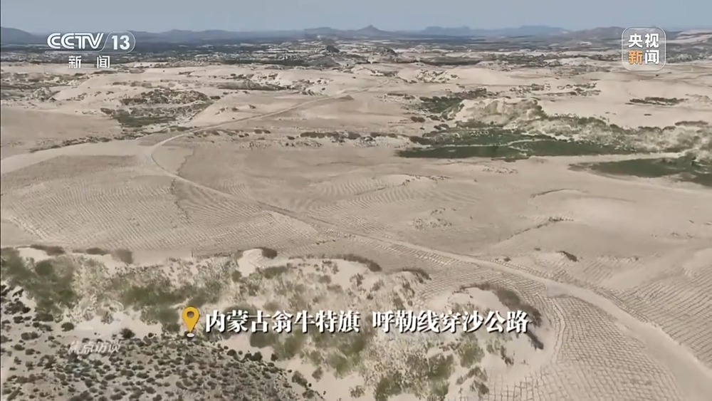 焦點訪談丨讓黃沙變“金沙”“中國方案” 創(chuàng)造更多綠色奇跡(圖13)